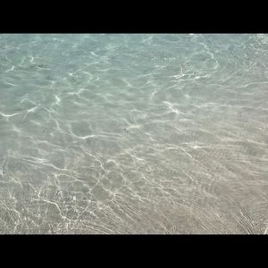 Meet your Posher, Genesis